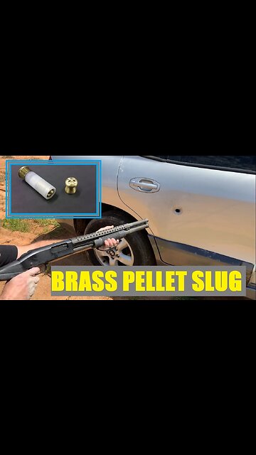 Crazy Powerful Slug Vs Car 🚗