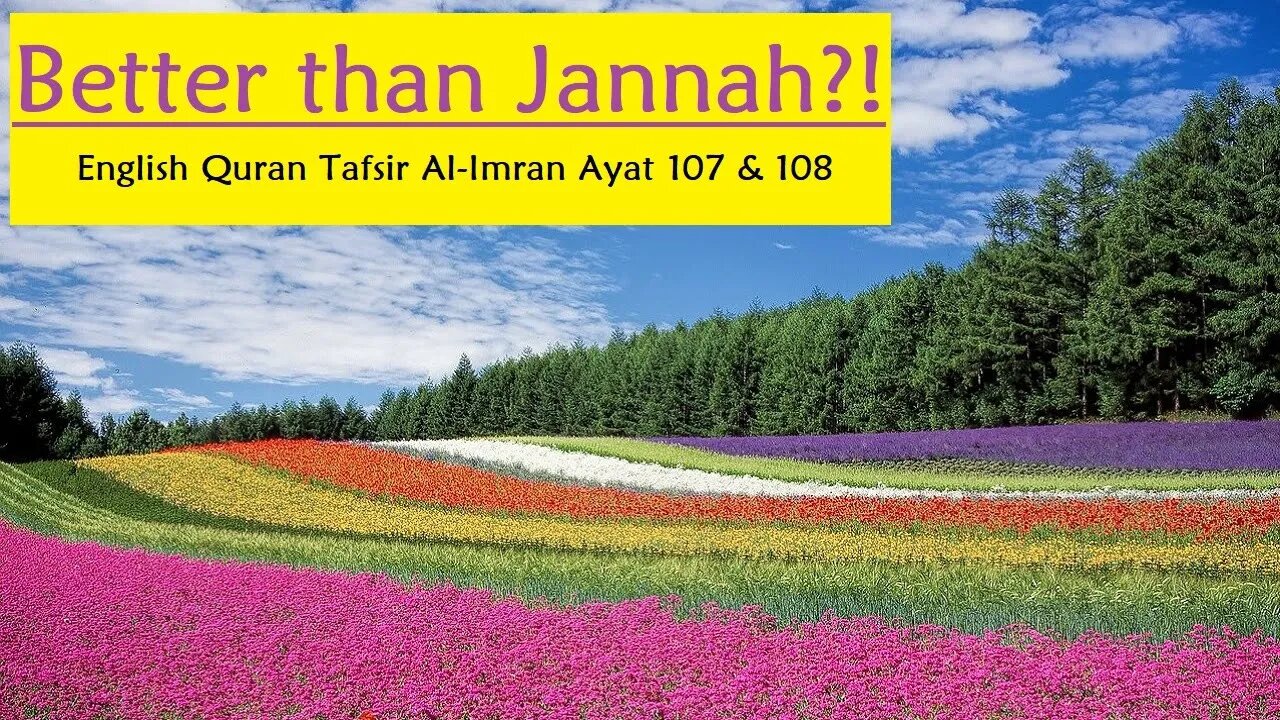 Better Than Jannah!? English Al-Imran Quran Tafsir