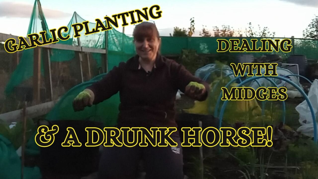 Scottish Allotment - Garlic, Midges and a DRUNK HORSE story!!