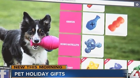 Pet holiday gifts