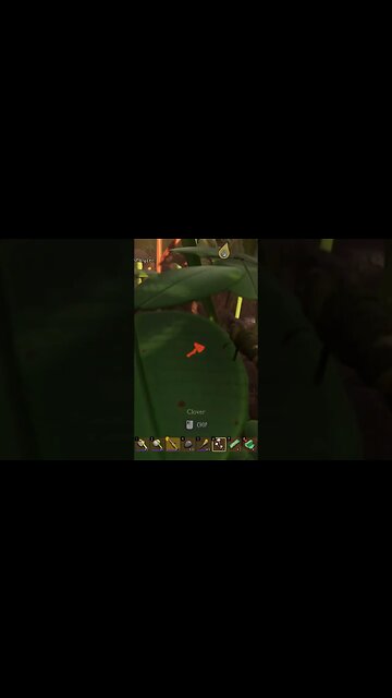 Africa Be Like #grounded #short