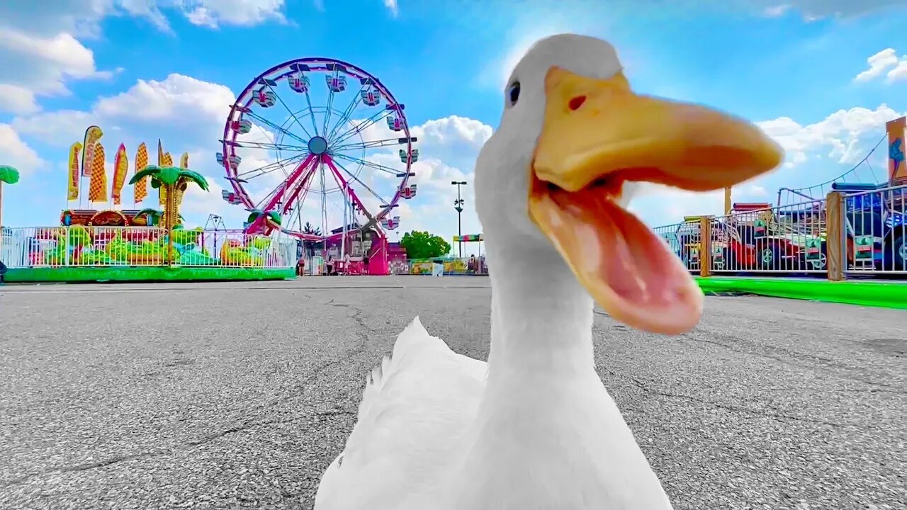 I took my duck to the State Fair 🎡🦆