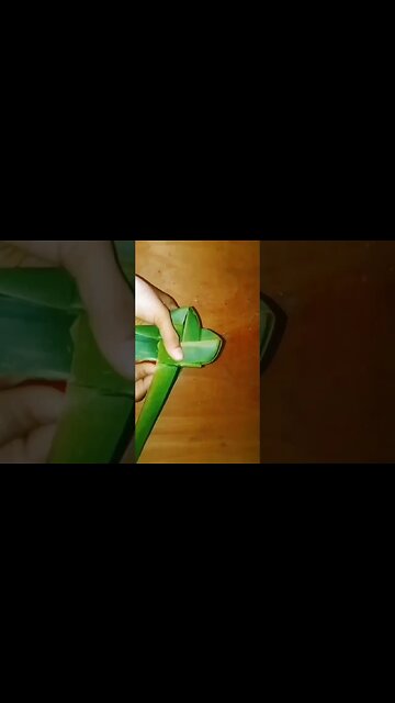 coconut leaf craft ideas