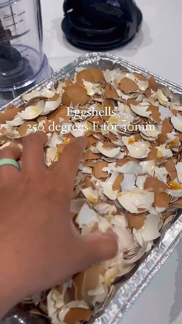 Egg shells as plant nutrition