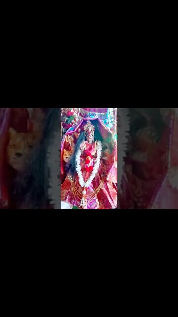 Navratri status video in navratriwhatsappstat shorts #navratri #navratrispecial #navratristatus 2022