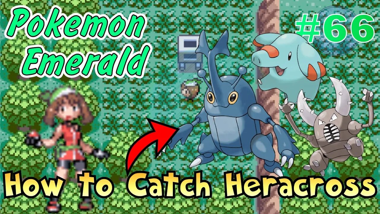 How to Catch Heracross! Pokémon Emerald Walkthrough - Part 66