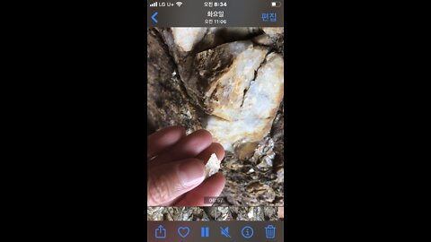 6분 30초 쯤부터 세계 최초 천연비닐로 추정되는 물질 태배아영장 근처 바닷가 바위에서 발견함 First natural vinyl in the world🤔?
