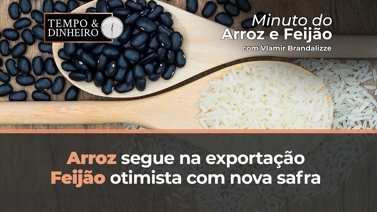 Arroz segue na exportação, Feijão otimista com nova safra