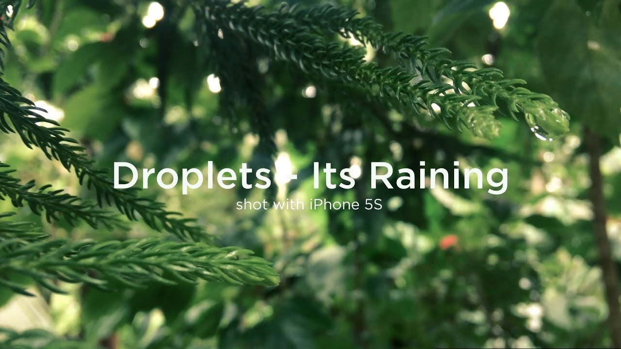 Droplets - It's Raining, Relaxing nature iPhone 5S Cinematic video / short movie in 2021 (Full HD)