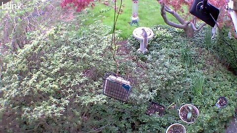 1_WEST_FLOODLIGHT_VIDEO_CAM_2023-04-07T08_48_17-0400.mp4