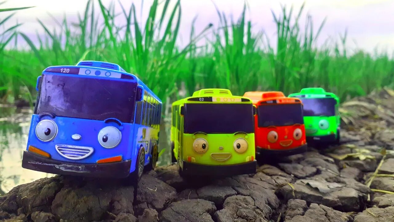 Mencari dan Menemukan Mainan Bus Tayo, Lani, Gani dan Rogi Yang Terjebak Lumpur di Irigasi Sawah