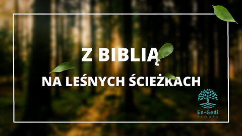 Z Biblią na leśnych ścieżkach - zwiastun