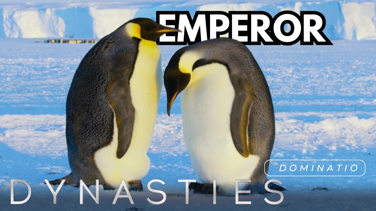 Dynasties - Emperor