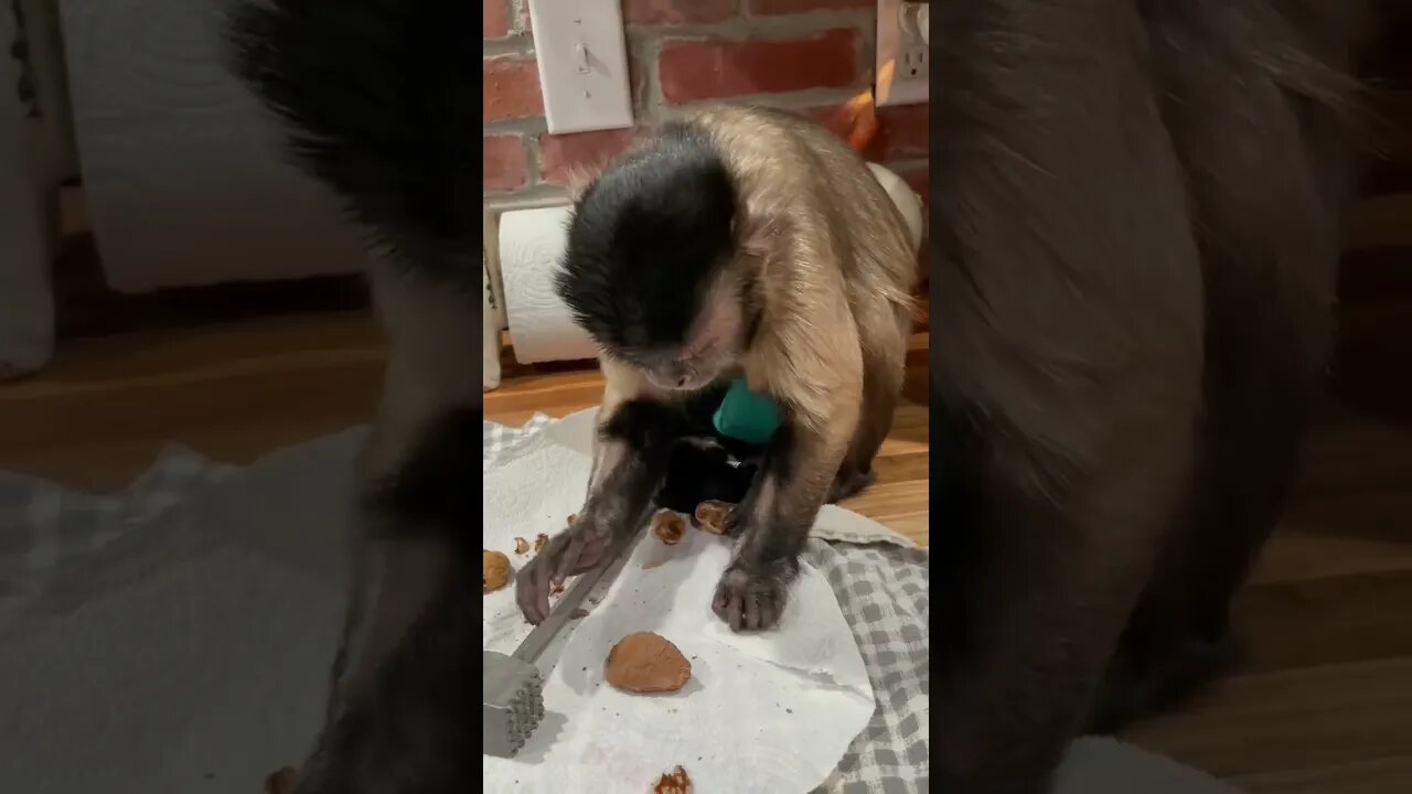 Nuts