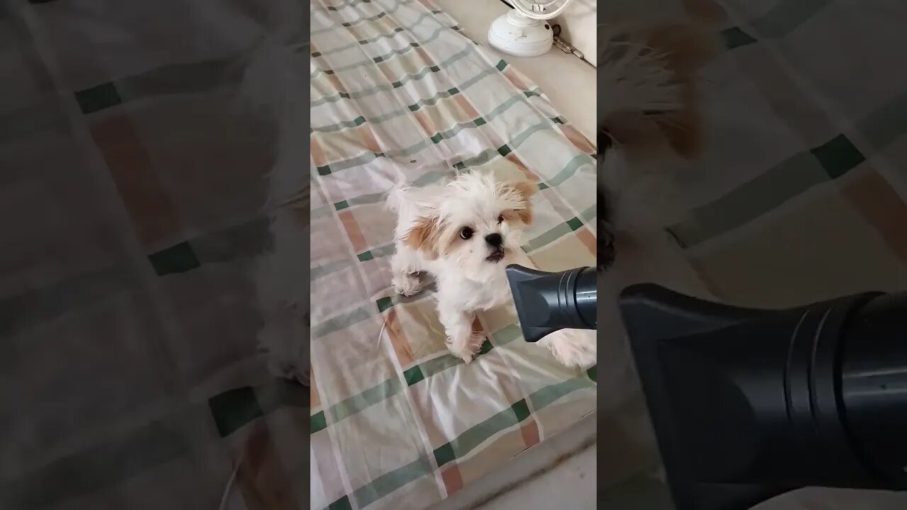 😜😁😁