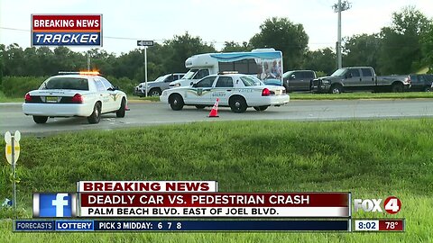 Vehicle versus pedestrian crash Fort Myers