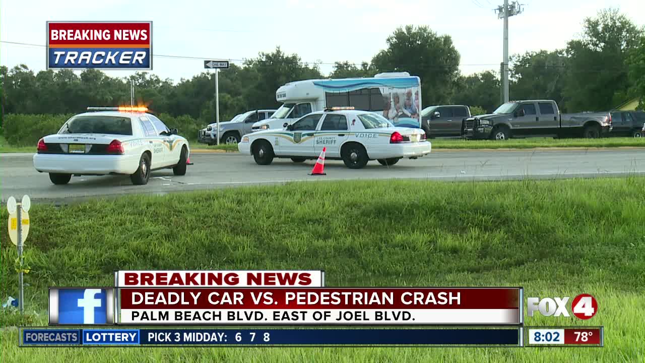 Vehicle versus pedestrian crash Fort Myers