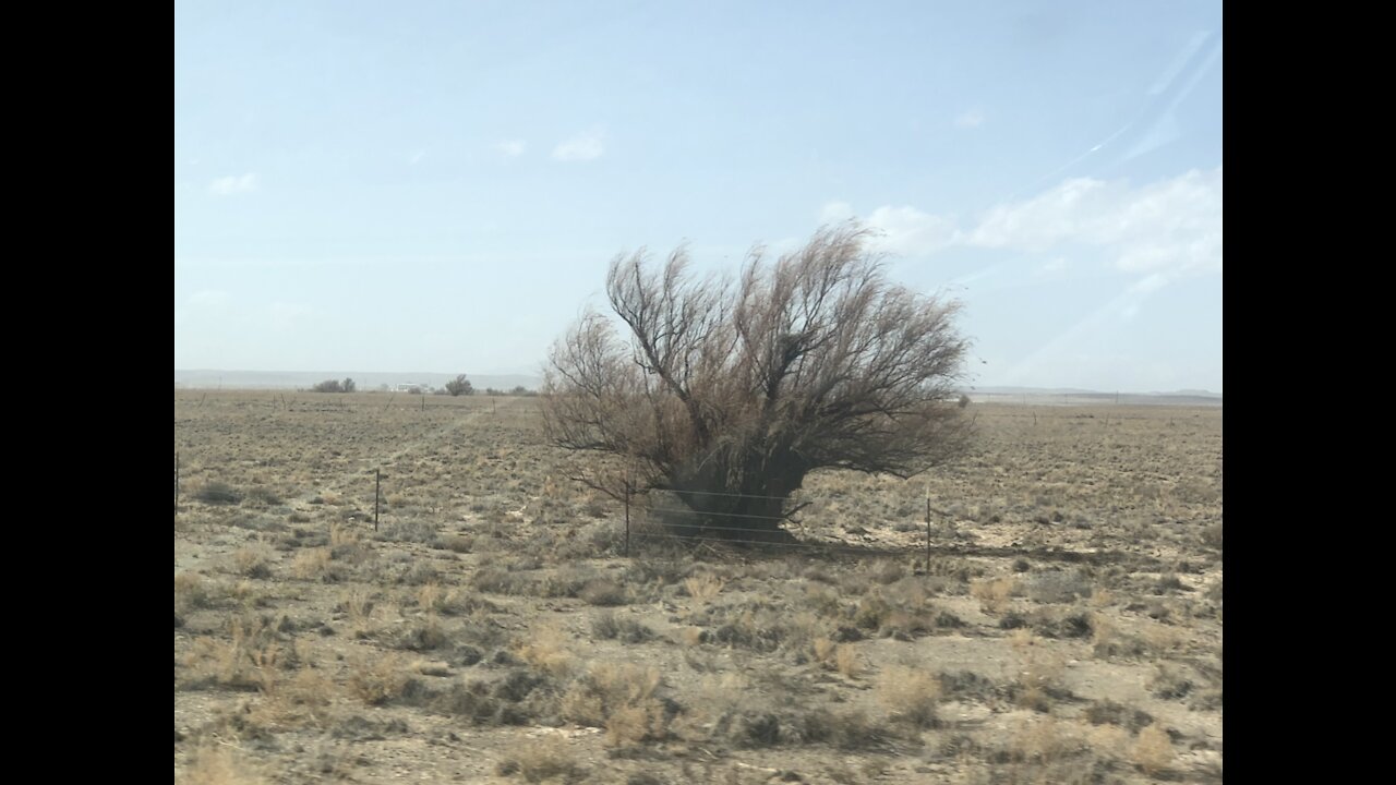 Road Trip Clip #1 MavWest Adventures