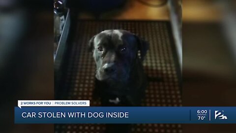 Tulsa woman desperate to be reunited with her stolen dog