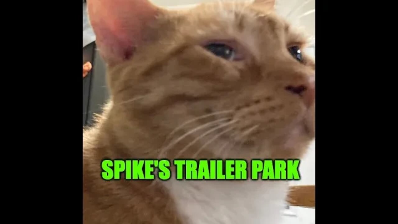 Spike's Trailer Park Live #46