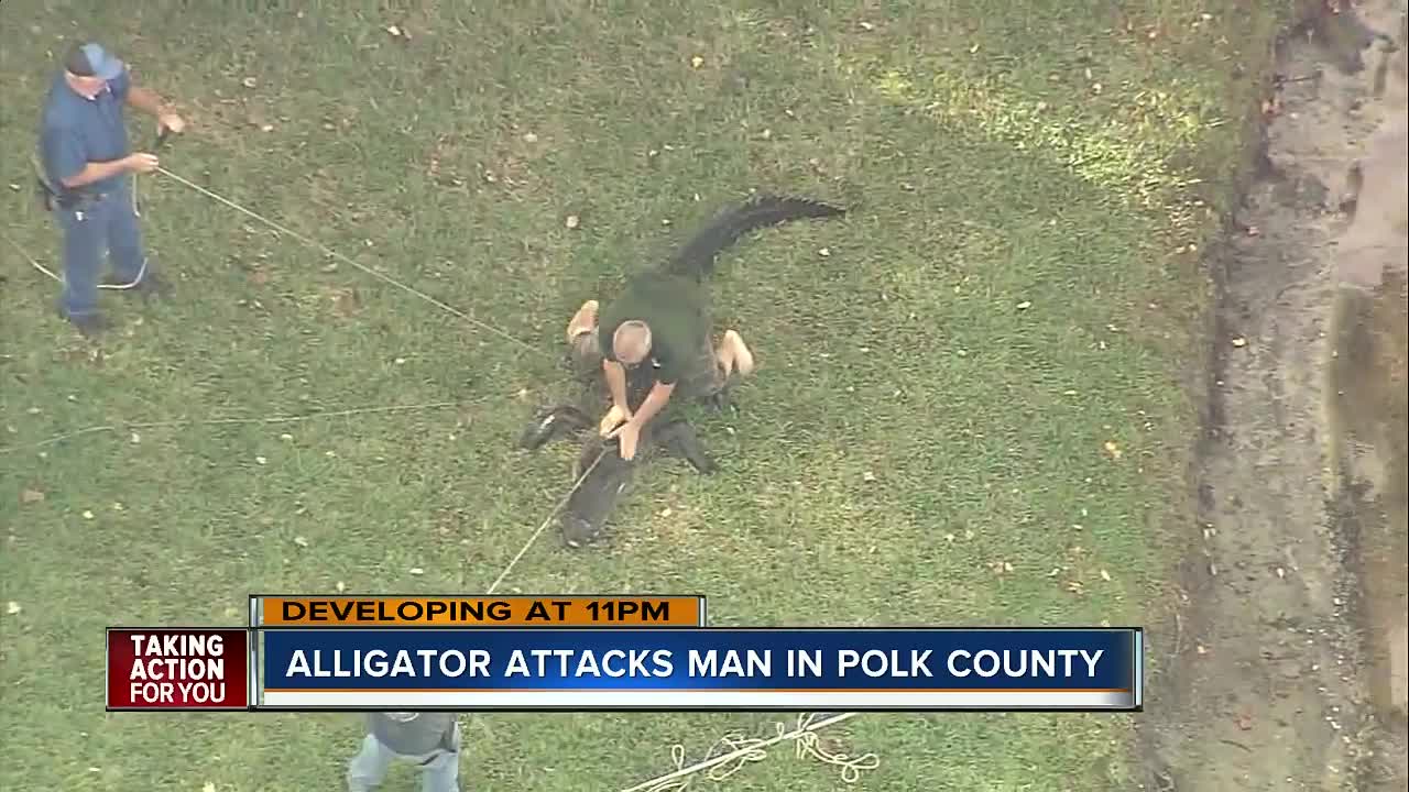 85-year-old man bitten by alligator at Lakeland retirement community