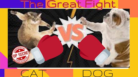 The Great Fight !!