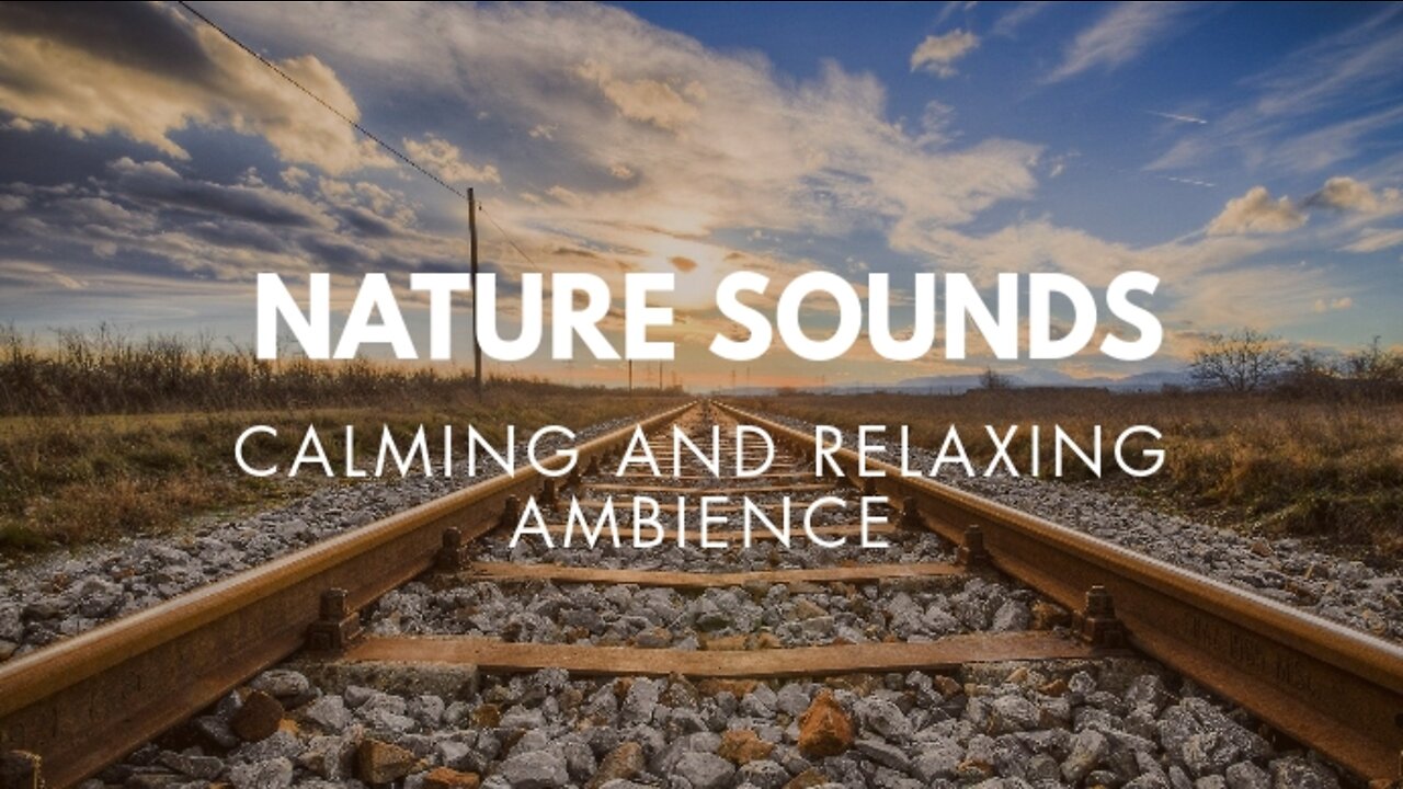 Nature sound short video clips of nature #Nature