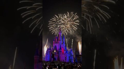 Disney's 4th of July!