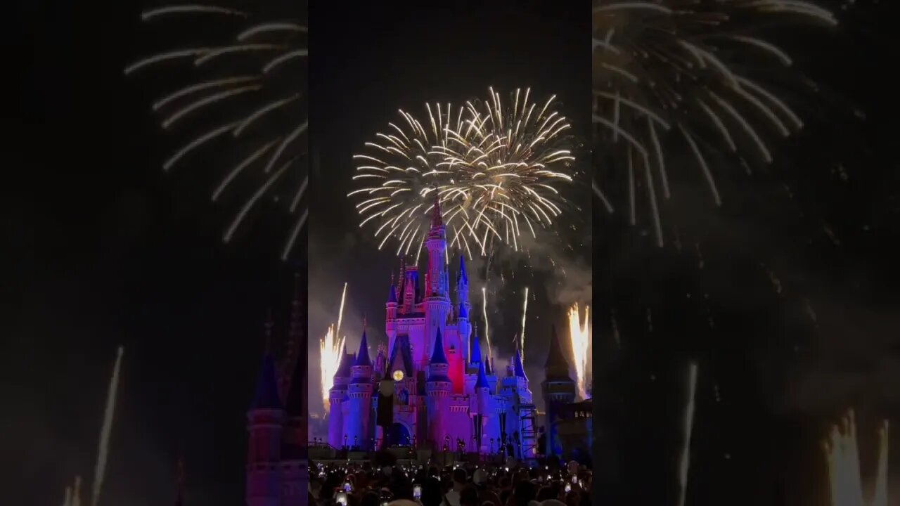 Disney's 4th of July!