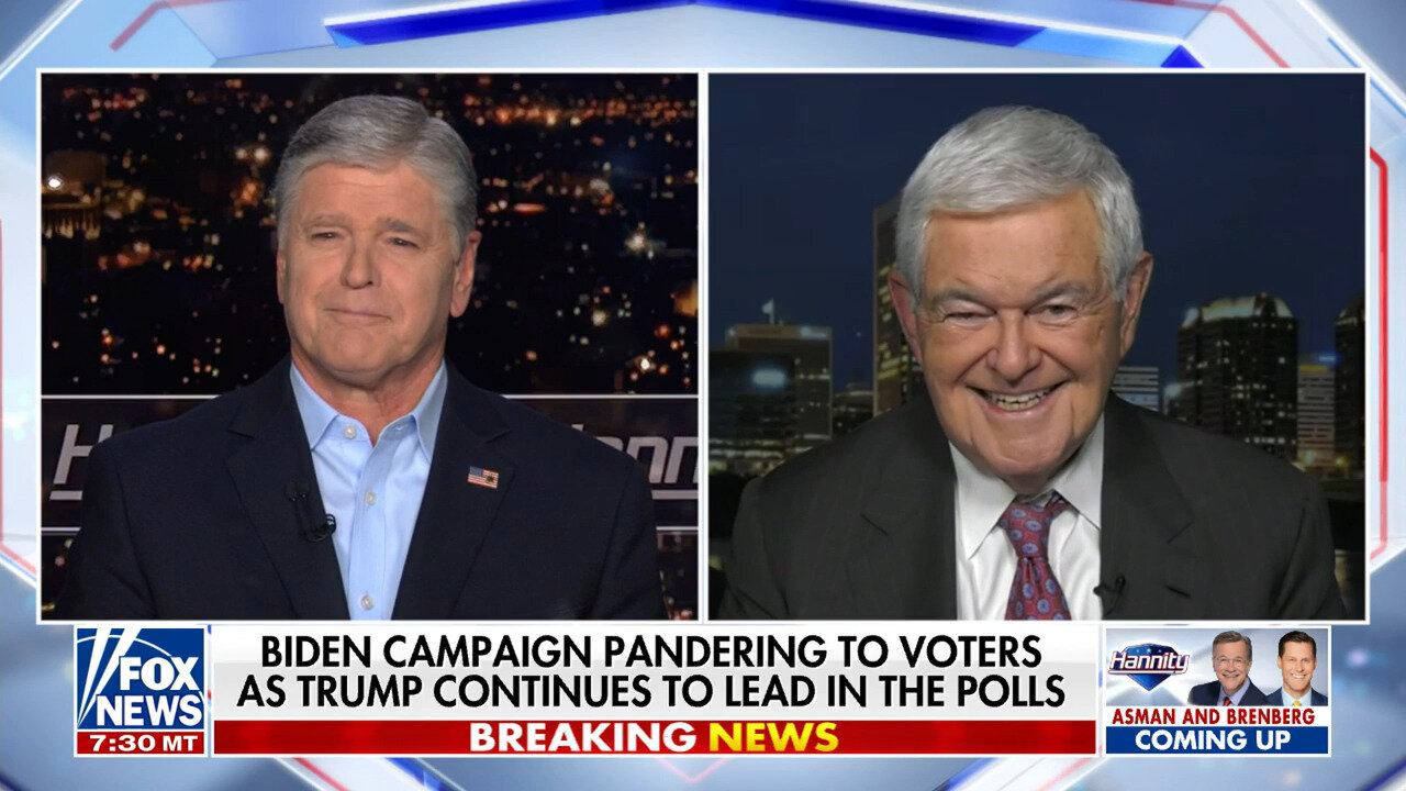 Newt Gingrich: Biden Campaign's Push To Attract Young Voters With Beer & Birth Control Is 'Childish'