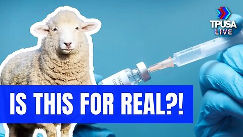 IRONIC: FLOCK OF SHEEP FORM INTO A GIANT SYRINGE TO PROMOTE COVID-VAX