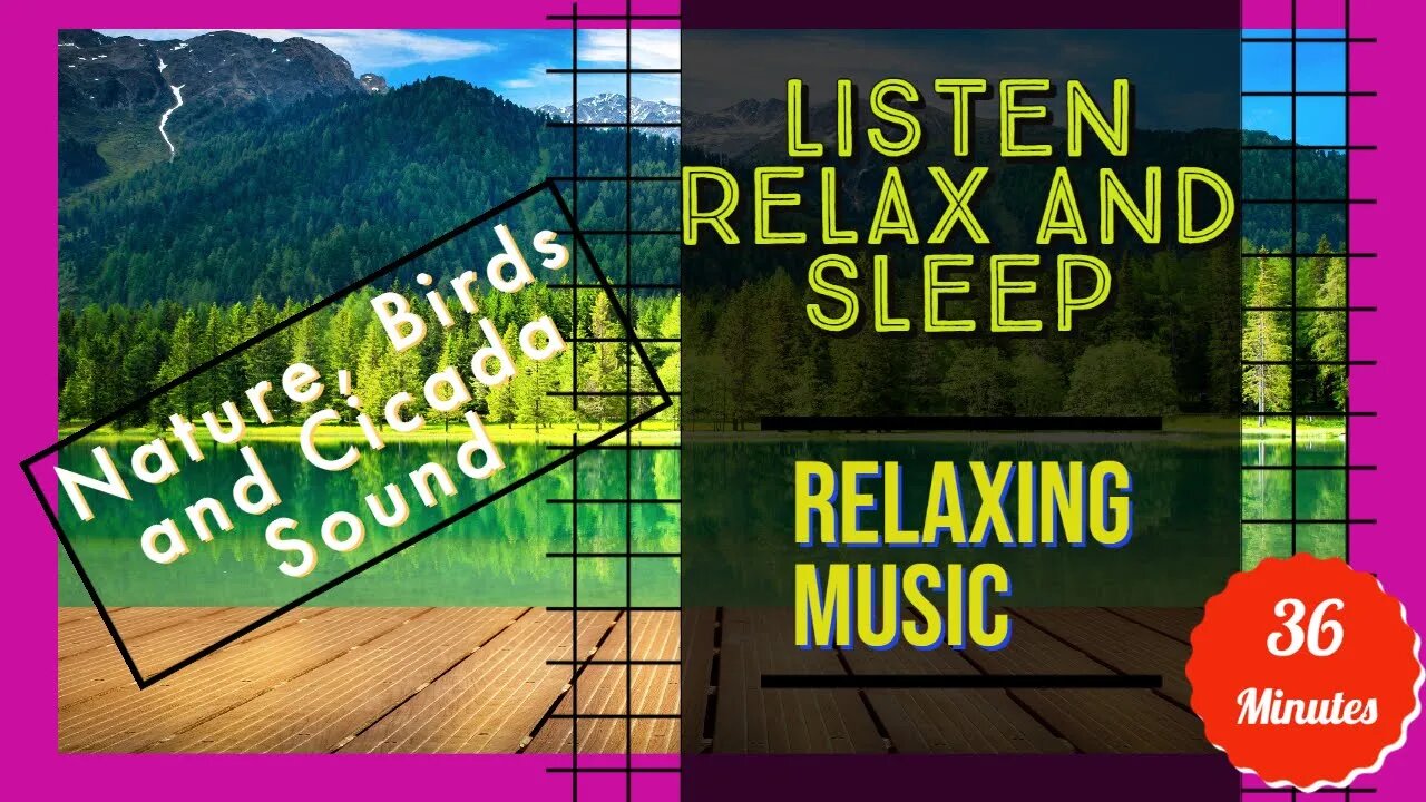 Relaxing Music | Nature Ambience | Birds Sound and Cicada