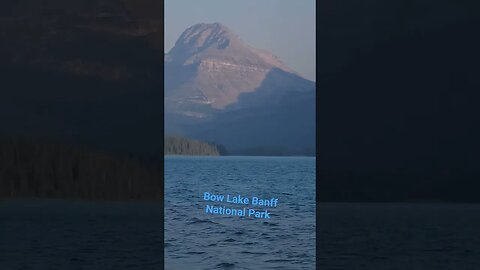 Getting Married at Bow Lake Banff National Park Alberta Canada Rockies BurnEye Hikes #shorts