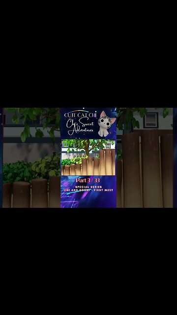 Chi and Kochi #3 First Meet #Short Support Us to Reach #1000Subscriber #Cute #Cat #Chi