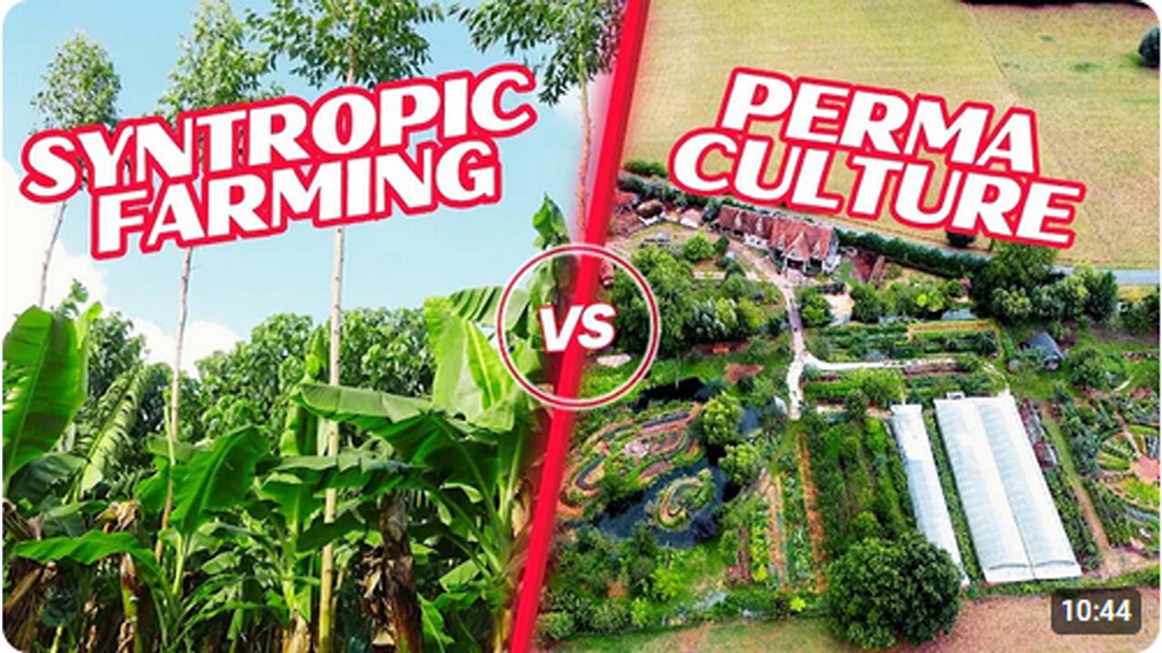 Syntropic Farming vs Permaculture