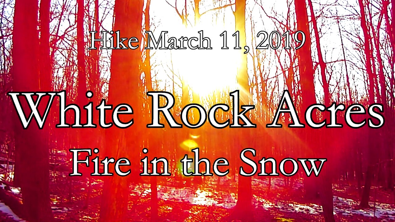 Hike - White Rock Acres - Fire in the Snow 3/11/2019