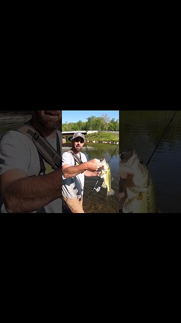 Creek bass fishing with the YUM DINGER!