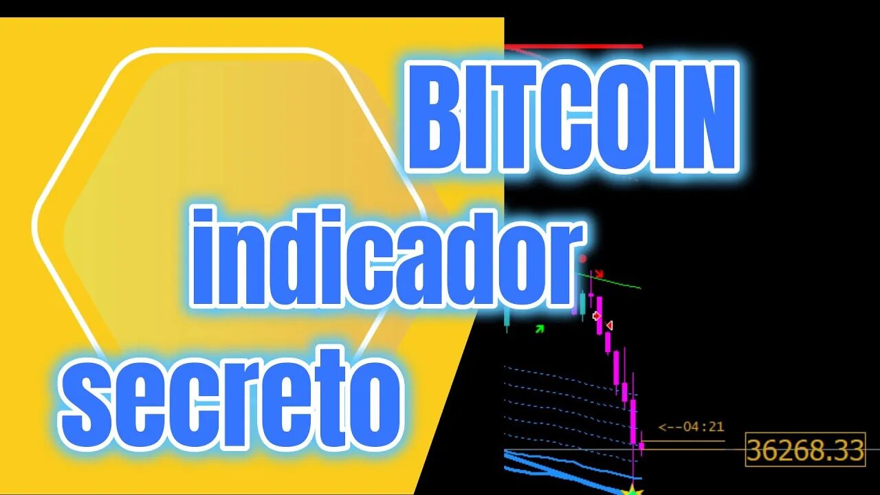 ¡El Indicador Secreto de Bitcoin que Todo Trader Debería Conocer!