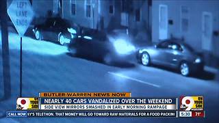 38 cars in Franklin area vandalized over weekend, police say