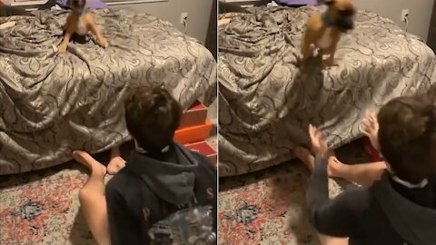 That puppy has zero fear 😍