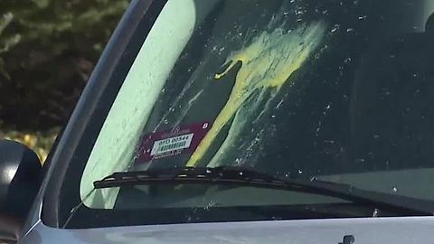 Vandals throw eggs on Las Vegas valley cars
