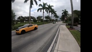 MUSTANG
