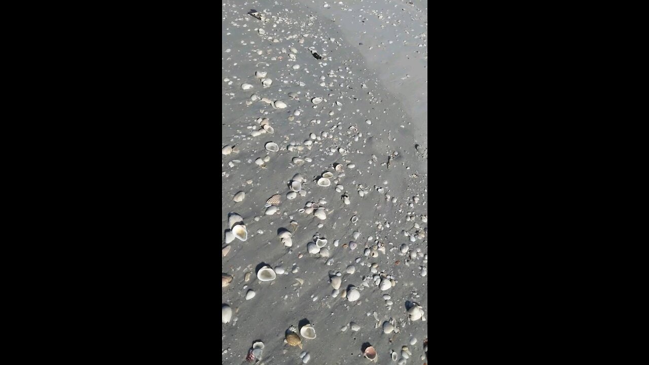 Morning walk along the beach