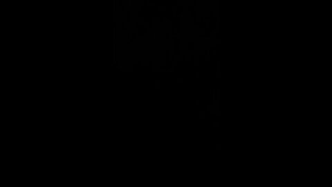 How to pronounce dead end job