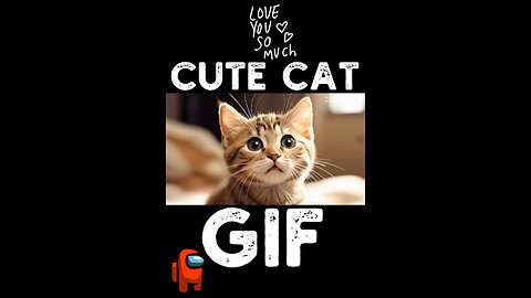 Cute Cat Gif