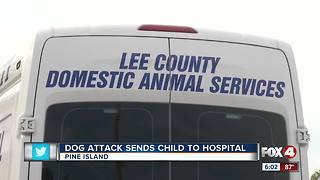 Child airlifted to hospital after dog attack