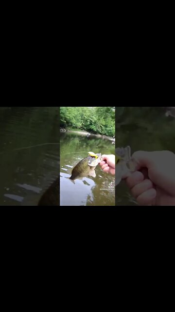 What DIDNT we find on this adventure!???