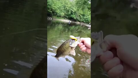 What DIDNT we find on this adventure!???