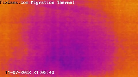 Nocturnal flocks migrating 11/7/2022 @ 21:05