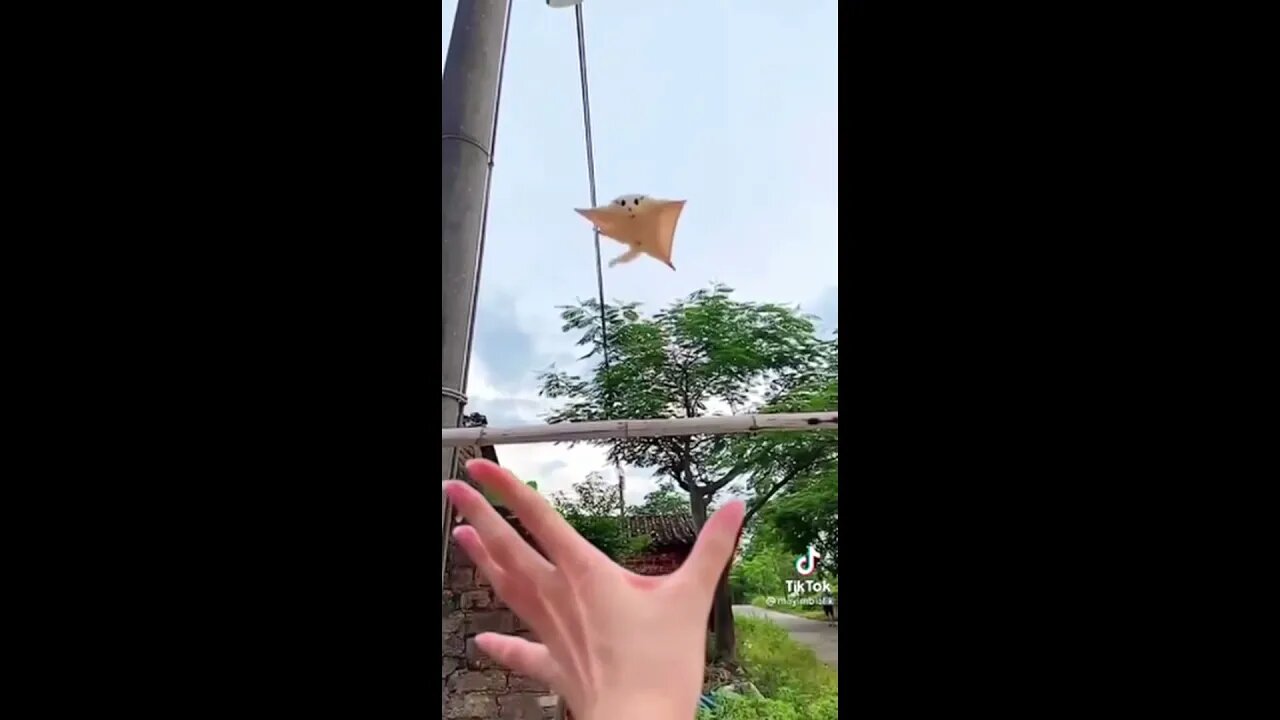 Danger